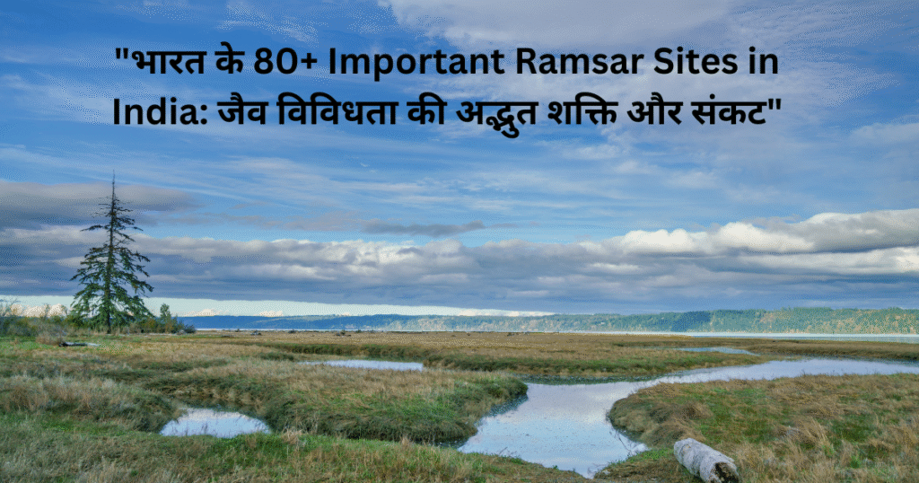 "भारत के 80+ Important Ramsar Sites in India: जैव विविधता की अद्भुत शक्ति और संकट"