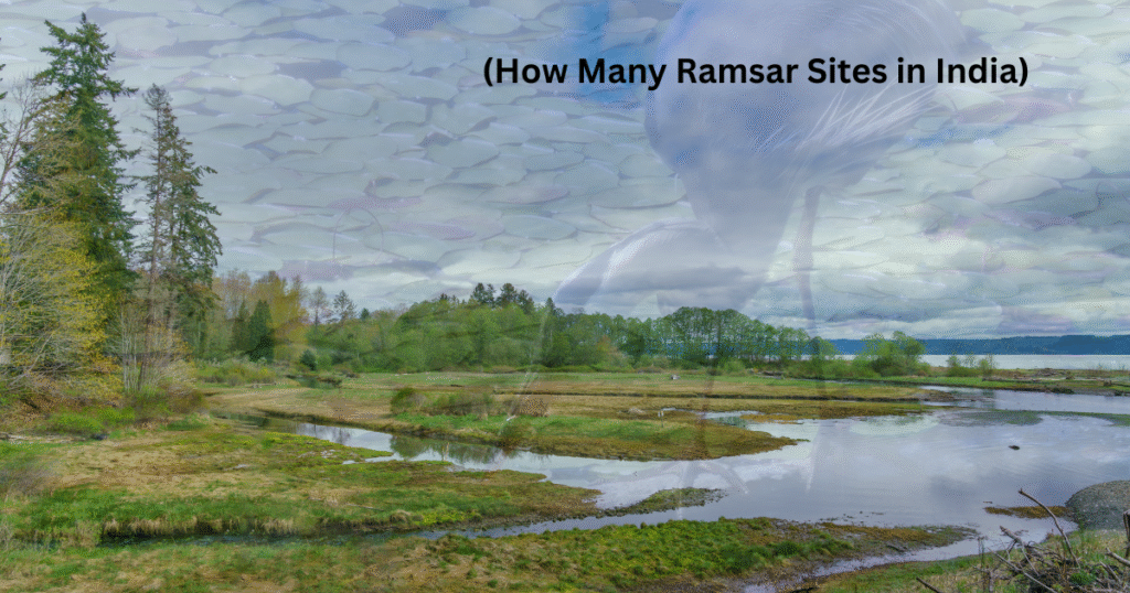 “2025 Update: How Many Ramsar Sites in India? जानिए Shocking नया आंकड़ा!”