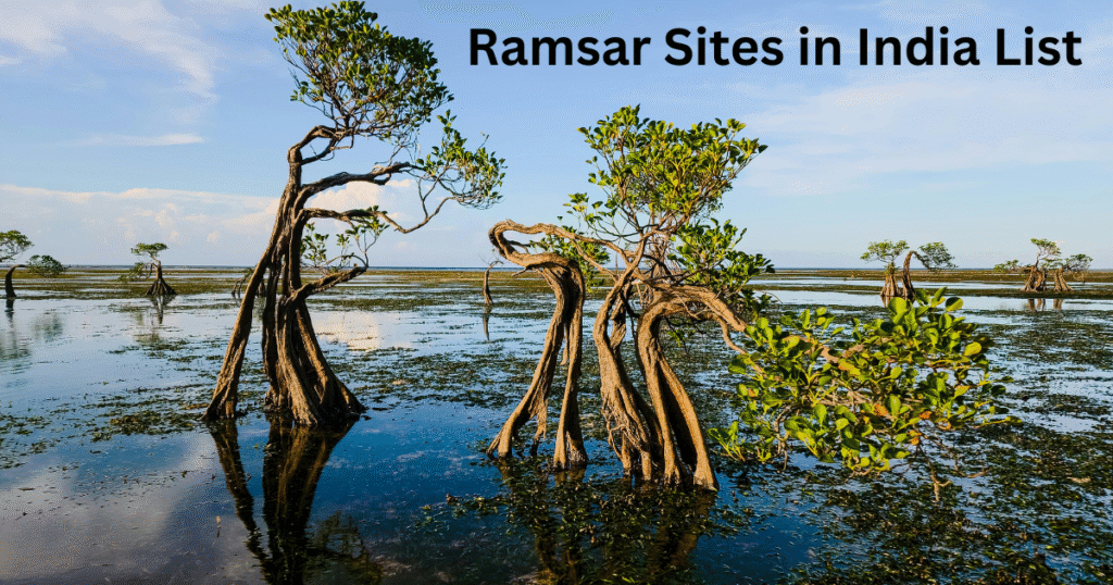Ramsar Sites in India List