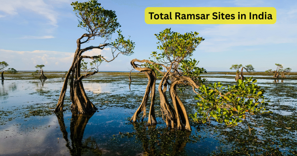 “Shocking Growth! Discover the Total Ramsar Sites in India – Now 91+” भारत में रामसर साइटों की कुल संख्या और उनका महत्व